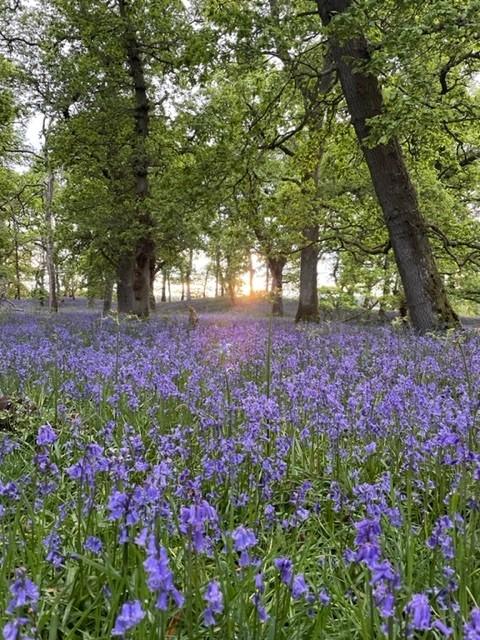 Summer Walking in Scotland